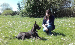 Adventures with doggo