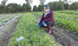 Insect survey at Beechlawn Organic Farm