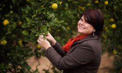 Releasing parasitoid wasps to control ACP in Riverside, CA